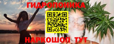 тгк Пушкино